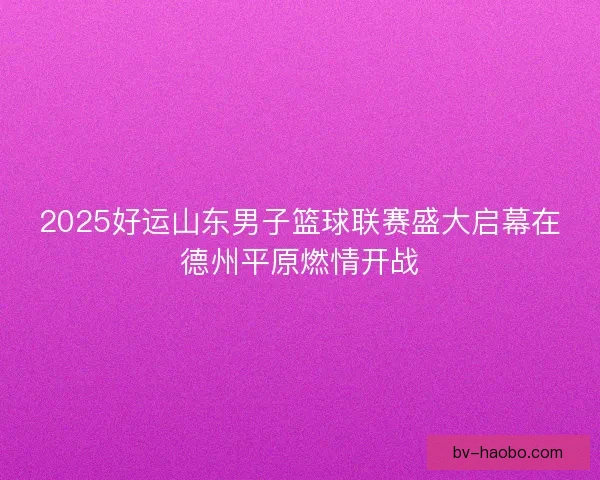 2025好运山东男子篮球联赛盛大启幕在德州平原燃情开战
